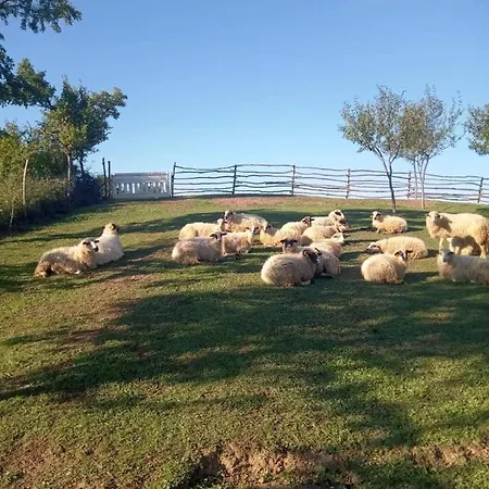 Chez Marthe, Organic Farm * Knin