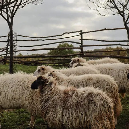 Chez Marthe, Organic Farm Knin
