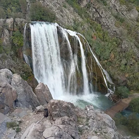 Chez Marthe, Organic Farm *