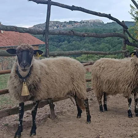 公寓 Chez Marthe, Welcoming B&B Tranquil Area *