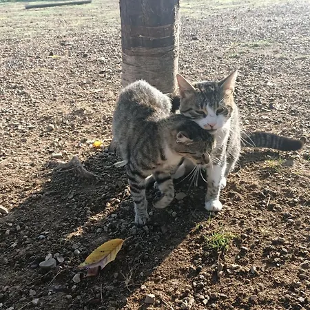 Chez Marthe, Welcoming B&B Tranquil Area * 克宁