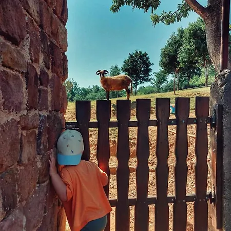 Chez Marthe, Welcoming B&B Tranquil Area * 克宁