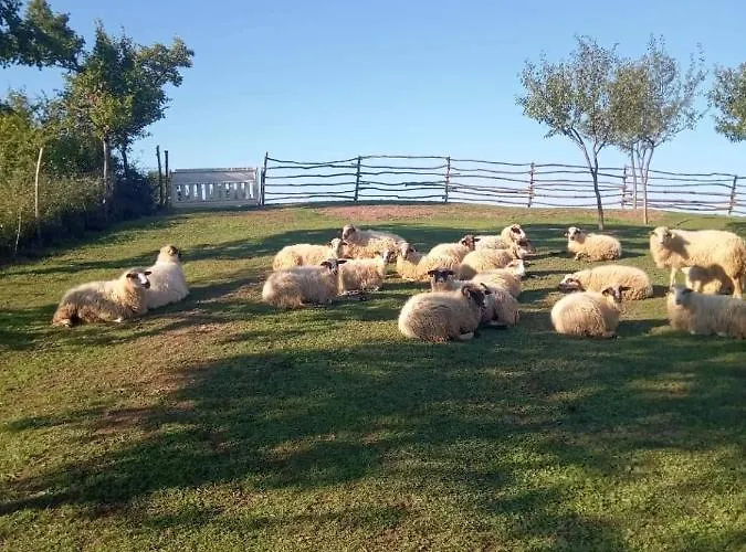 Chez Marthe, Welcoming Tranquil Area * Knin