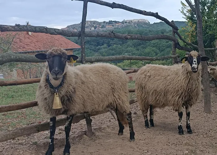 Appartement Chez Marthe, Welcoming Tranquil Area *