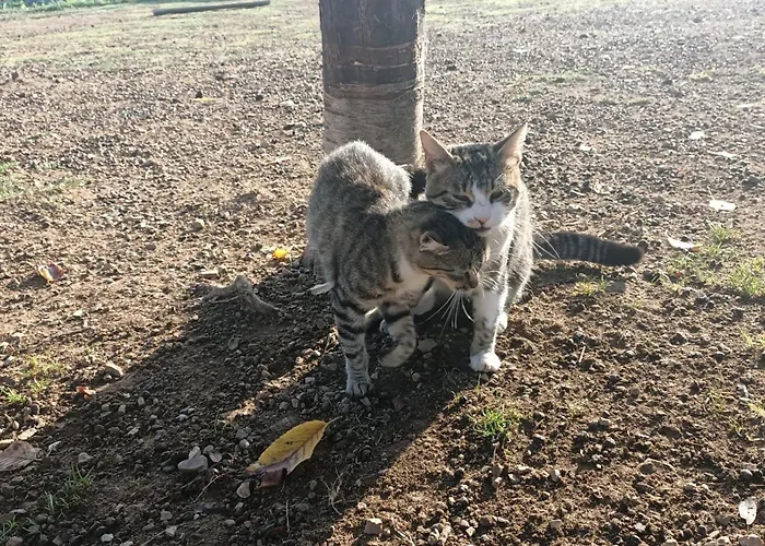 Chez Marthe, Welcoming Tranquil Area * Knin